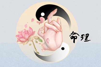 紫微主星查询,基本命盘查询,命盘夫妻宫变动,算八字命盘,胎元命宫八字排盘,紫薇排盘免费解读